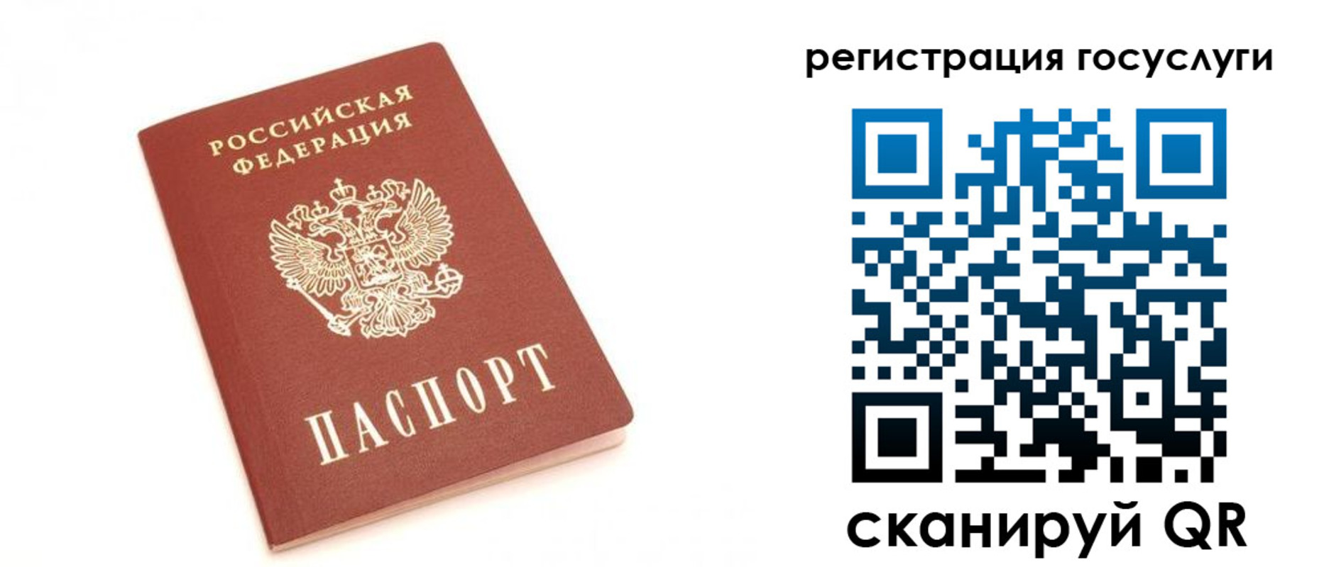 прописка для школы в Торопеце